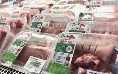 Baf Việt Nam tăng vốn lên hơn 3.600 tỷ đồng sau 2 đợt phát hành