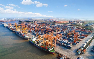 Cảng Đình Vũ sắp họp ĐHĐCĐ bất thường để kiện toàn nhân sự