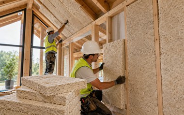 Phát minh làm rung chuyển ngành xây dựng: biến nấm thành gỗ, năng suất cao nhưng chi phí thấp
