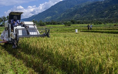 Việt Nam đã triển khai nhiều năm, Indonesia nay mới thử nghiệm cách trồng lúa cho kết quả bất ngờ