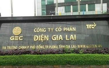 Điện Gia Lai tiếp tục mua lại một phần trái phiếu