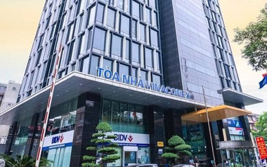Vinaconex chốt ngày trả cổ tức bằng tiền mặt tỷ lệ 8%