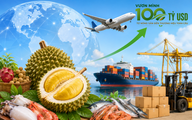 Việt Nam và bài toán xuất khẩu nông sản 100 tỷ USD: ‘Không có chính sách xóa đói giảm nghèo nào tốt hơn việc đưa 9 triệu hộ nông dân nhỏ lẻ ra thẳng thị trường quốc tế’