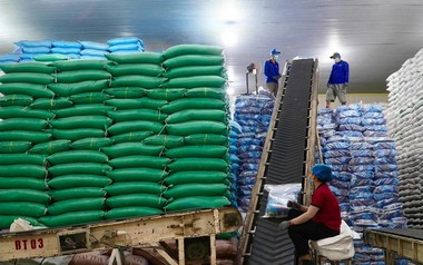 Việt Nam đón tin vui lớn từ Iraq