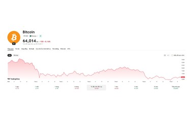 Bitcoin quanh mức 64.000 USD, dữ liệu hé lộ lực mua trở lại từ các "cá voi" Mỹ