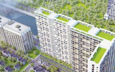 Haland được giao đất làm dự án đầu tư xây dựng khu nhà ở thấp tầng