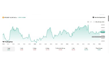 Tình hình bitcoin sau cú lao dốc 28%