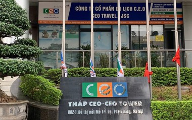 CEO Group góp vốn thành lập 2 công ty con trong lĩnh vực giáo dục