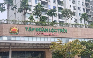 Chậm công bố một số BCTC, Lộc Trời bị xử phạt hành chính
