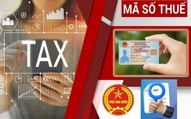 Cục Thuế phát cảnh báo nóng: Cho mượn CCCD để lập doanh nghiệp, bỏ địa chỉ kinh doanh, chưa giải thể đúng quy định sẽ bị rà soát