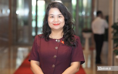 Phản biện là động lực quan trọng nâng cao chất lượng quản trị quốc gia