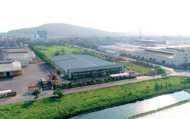 Giá lợn hơi giảm kéo lãi ròng quý II/2026 của Dabaco ‘đi lùi’ 43%