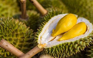 Sau Trung Quốc, Việt Nam chính thức khai phá 'mỏ vàng' sầu riêng 1,4 tỷ dân: Thái Lan, Malaysia cũng đang chạy đua