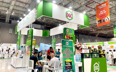 Lý do cổ phiếu DGC tiếp tục bị đưa vào diện cảnh báo