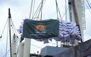 Lộc Trời bị hủy tư cách công ty đại chúng
