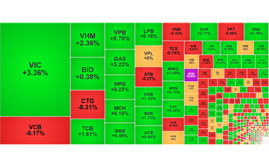 Chứng khoán ngày 12/8: VN-Index tiến gần ngưỡng 1.800 điểm