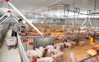 Công ty Khánh Tân bị phạt vì chậm công bố thông tin