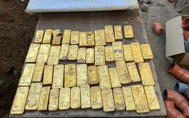 Đi làm thêm, một sinh viên 18 tuổi phát hiện loạt thỏi vàng và đồng xu trị giá 284 tỷ đồng