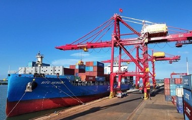 'Cây tỷ đô' của Việt Nam được Trung Quốc, Ấn Độ tích cực đổ tiền mua: giá tăng 7 tháng liên tiếp, nước ta có diện tích hơn 900.000 ha