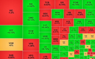 Chứng khoán ngày 17/8: VN-Index giảm nhẹ