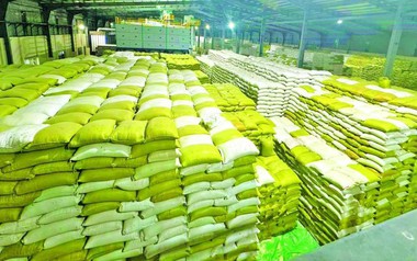 Gạo Việt Nam, Thái Lan bất ngờ bị một đối thủ mới vượt mặt tại Philippines, mới xuất hiện đã được trả giá cao kỷ lục