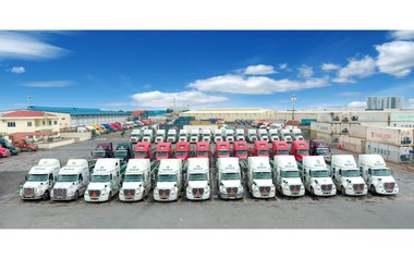 Viconship dự kiến phát hành 500 tỷ đồng trái phiếu, bảo đảm bằng vốn góp tại công ty con