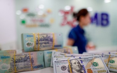 Lãi suất ngân hàng 20/8 tại MB, Sacombank, HDBank, Agribank, Vietcombank, BIDV, VietinBank,...