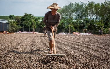 'Vàng treo trên cây' giúp Việt Nam xuất khẩu bỏ xa thế giới: Trung Quốc thừa nhận 'ăn đứt' hàng nội, thu về gần 3 tỷ USD từ đầu năm