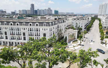 Một thành viên nhóm Lã Vọng được thuê 7.400 m2 đất xây trường học tại Hà Nội
