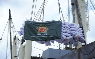 Loạt doanh nghiệp đình đám một thời bị mất tư cách công ty đại chúng