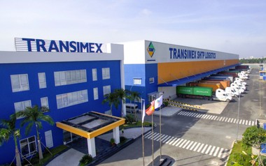 Transimex tiếp tục đăng ký mua vào 1 triệu cổ phiếu VNF