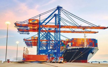 Quỹ thành viên VinaCapital bán ra cổ phiếu GMD