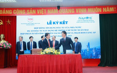 Thành viên Tập đoàn Aqua One chuyển lỗ thành lãi trong nửa đầu năm