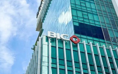 BIC sắp chi hơn 240 tỷ đồng trả cổ tức năm 2025
