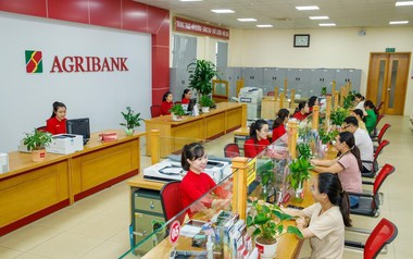 Lãi suất ngân hàng 28/8 tại Agribank, Vietcombank, BIDV, VietinBank, MB, Sacombank, HDBank,...