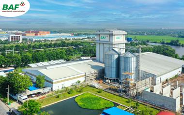Doanh thu bứt phá, Baf Việt Nam vẫn báo lãi ròng quý II/2026 ‘bốc hơi’ 50%