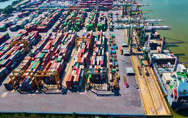 Viconship sắp “bỏ túi” gần 90 tỷ đồng cổ tức từ Cảng Xanh Vip
