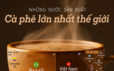 Sản vật tỷ đô giúp Việt Nam trở thành ông trùm của thế giới: chiếm thị phần 18% toàn cầu, diện tích trồng hơn 700.000 ha