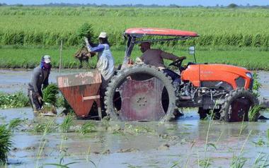 Cuba vừa đón tin cực vui, một doanh nghiệp Việt góp công lớn
