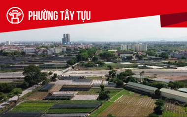 Đại An được giao, chuyển mục đích sử dụng đất làm dự án tại Tây Tựu