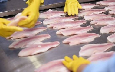 2/3 thế giới 'chốt đơn' sản vật này của Việt Nam, Vương quốc Anh cực ưa chuộng