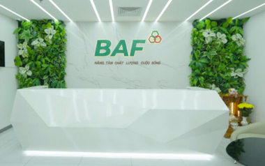 BAF Việt Nam bổ nhiệm Phó Tổng Giám đốc