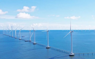 Công ty con của REE được thuê gần 5,4 ha đất làm Cụm Nhà máy điện gió Phú Cường 1A và 1B