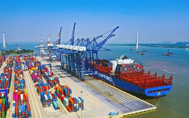 Hàng chục nghìn tấn hàng của Việt Nam được quốc gia láng giềng đổ tiền mua: 1/3 thế giới ưa chuộng, nước ta có diện tích trồng hơn 900.000ha