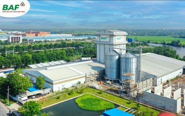 Baf Việt Nam thâu tóm một doanh nghiệp chăn nuôi tại Gia Lai