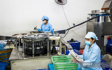Mỗi tháng có 25.800 doanh nghiệp gia nhập và tái gia nhập thị trường