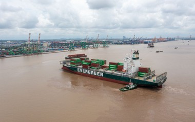 Viconship lên kế hoạch tăng vốn điều lệ vượt 5.800 tỷ đồng