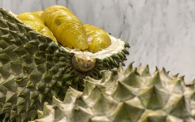 Không phải Thái Lan hay Việt Nam, một quốc gia Đông Nam Á sắp có 'đặc quyền' cho sầu riêng tại Trung Quốc, thông quan chỉ mất 3-4 giờ
