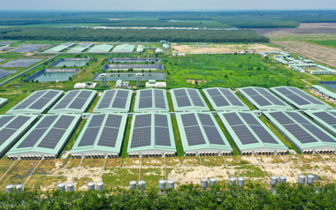 Baf Việt Nam thành lập công ty con chế biến thực phẩm tại Gia Lai