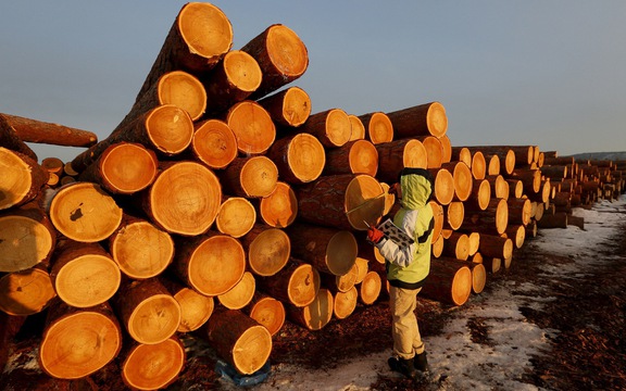 Việt Nam sở hữu 'cây kim tiền' được Mỹ đổ gần 8 tỷ USD chốt đơn: thuế nhập khẩu 10%, Việt Nam là ông trùm đứng thứ 5 thế giới